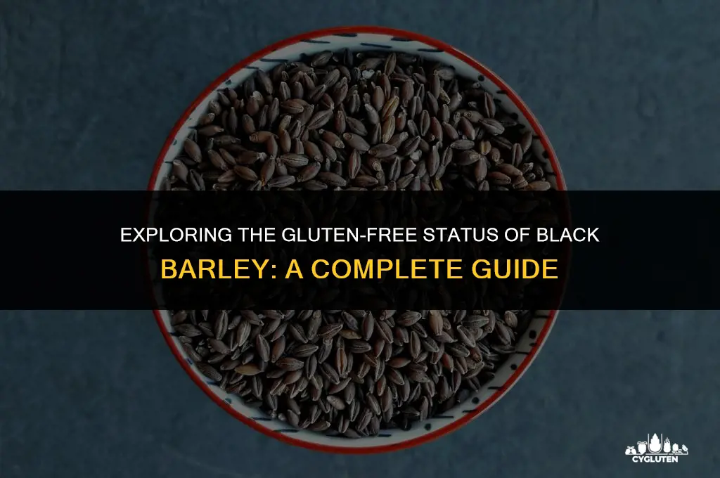 is black barley gluten free