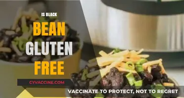 Exploring the Gluten-Free Benefits of Black Beans