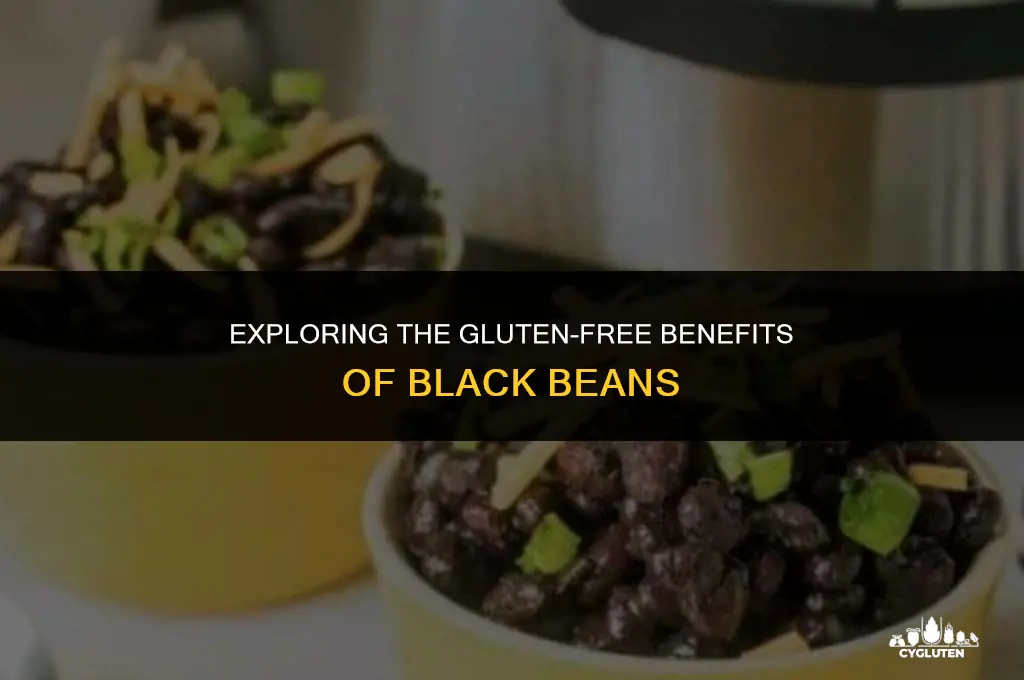 is black bean gluten free