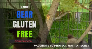 Exploring the Diet of Black Bears: Is Gluten a Part of Their Menu?