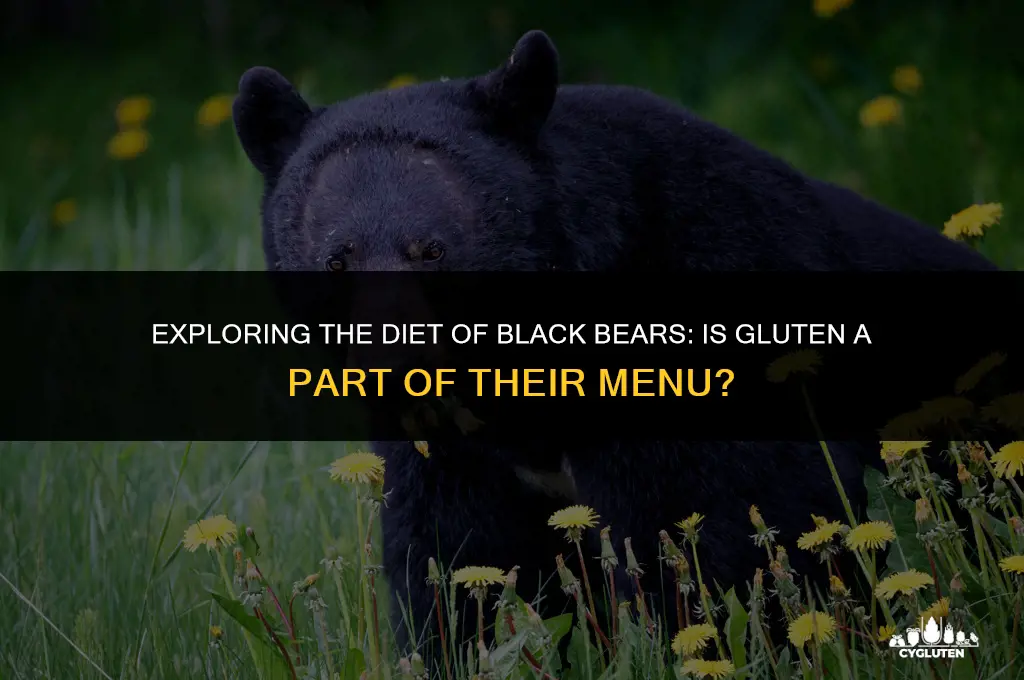 is black bear gluten free