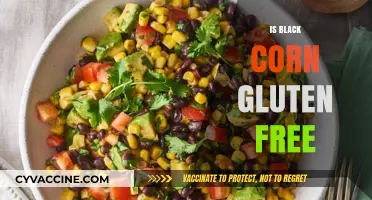 Exploring the Mystery: Is Black Corn Naturally Gluten-Free?