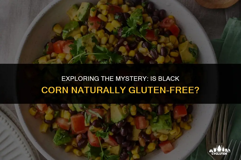 is black corn gluten free