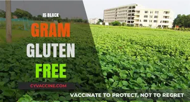 Exploring Gluten-Free Options: The Truth About Black Gram