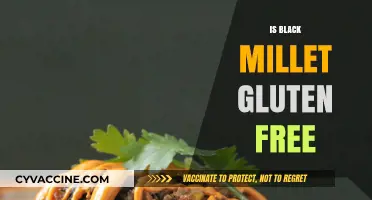 Exploring the Gluten-Free Benefits of Black Millet