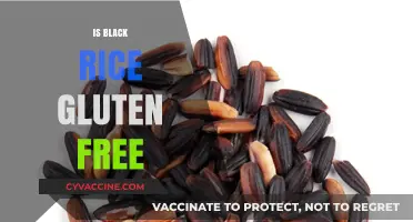 Is Black Rice Gluten-Free? A Complete Guide to Its Benefits