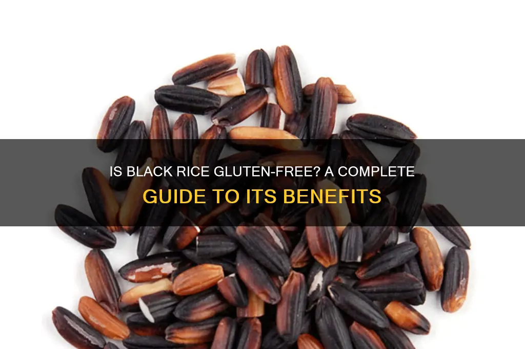 is black rice gluten free