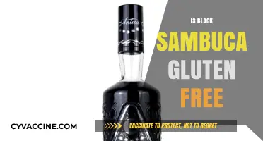 Exploring the Ingredients: Is Black Sambuca Gluten-Free?