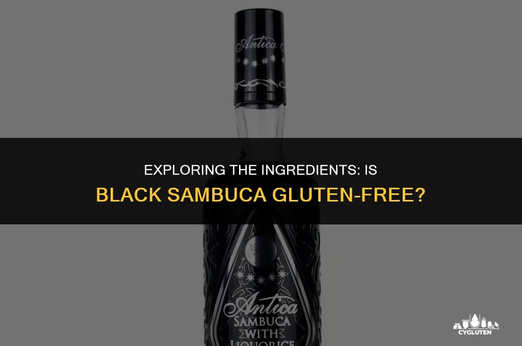 is black sambuca gluten free