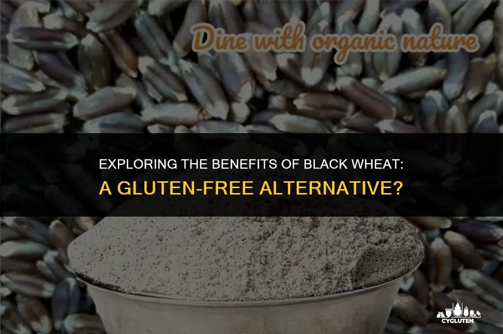 is black wheat gluten free