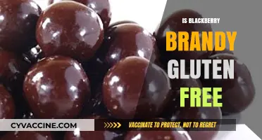 Savoring Smoothness: Is Blackberry Brandy Gluten-Free?