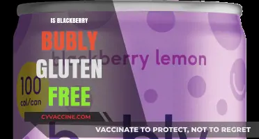 Exploring Blackberry Bubly: A Gluten-Free Beverage Option