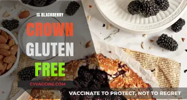 Exploring Gluten-Free Options: Is Blackberry Crown Safe for Celiacs?
