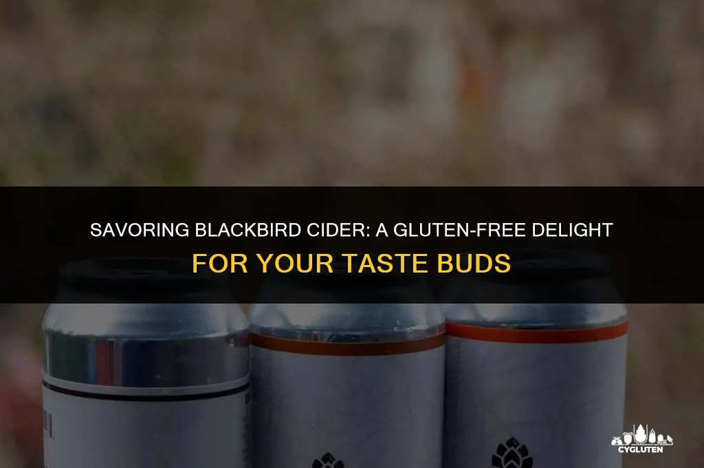 is blackbird cider gluten free
