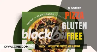Savoring Blackbird Pizza: A Gluten-Free Delight or Not?