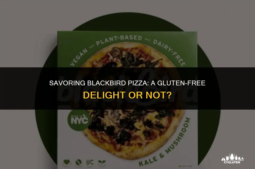 is blackbird pizza gluten free