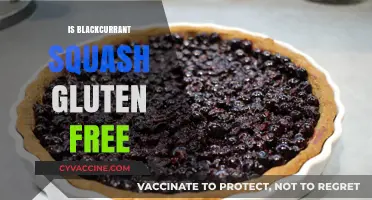 Exploring the Gluten-Free Status of Blackcurrant Squash: A Comprehensive Guide