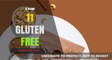 Exploring Gluten-Free Options: Is Blend 11 Safe for Celiacs?