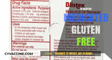 Exploring Blistex Medicated: A Gluten-Free Option for Lip Care