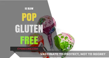 Delving into Dietary Details: Is Blow Pop Gluten-Free?