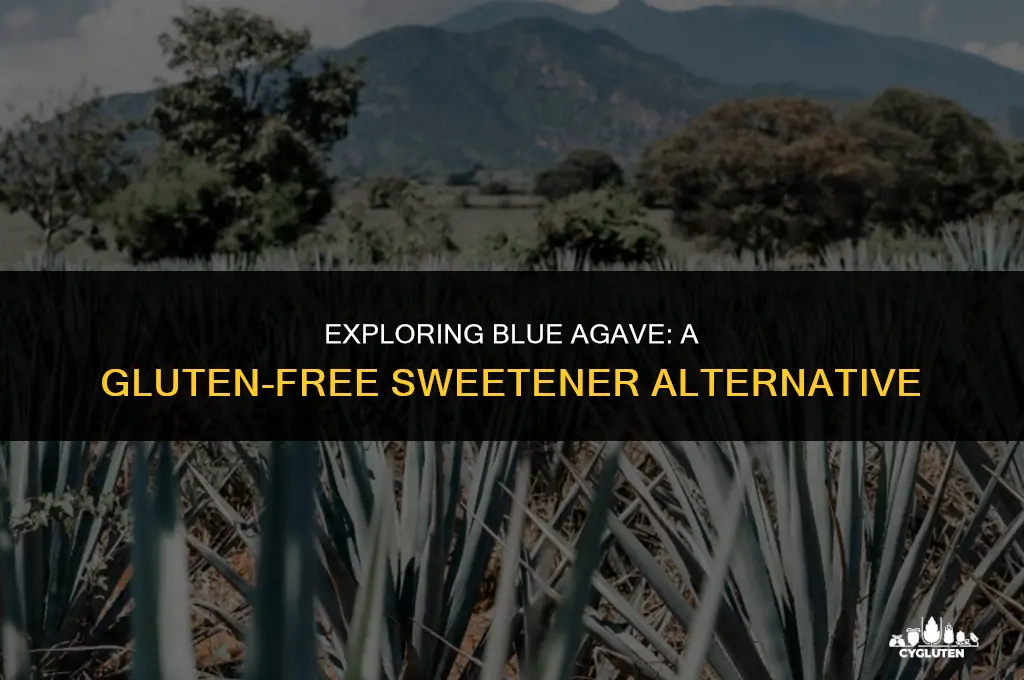 is blue agave gluten free
