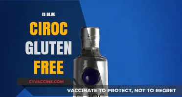 Sipping Safely: Is Blue Ciroc Gluten-Free?