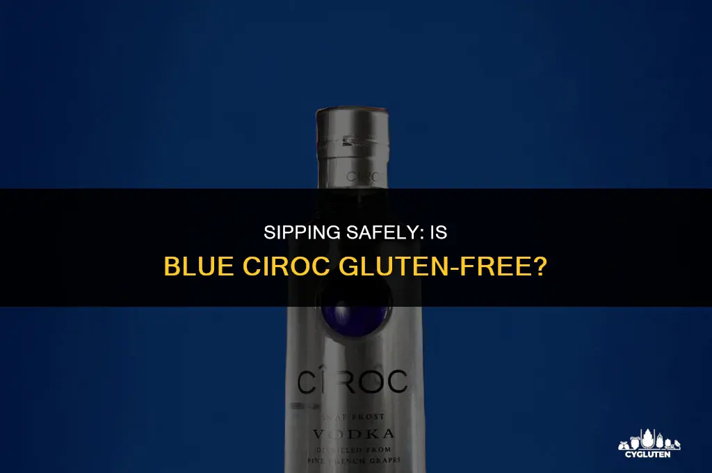 is blue ciroc gluten free