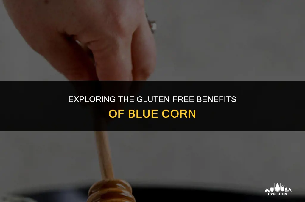 is blue corn gluten free