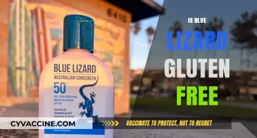 Exploring Gluten-Free Options: Is Blue Lizard Bread Safe for Celiacs?