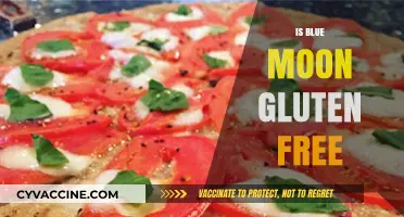 Is Blue Moon Gluten-Free? A Beer Lover's Guide to Celiac Safety