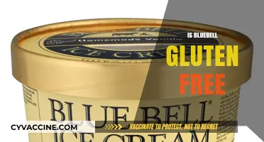Is Bluebell Ice Cream Gluten-Free? A Complete Guide for Celiacs