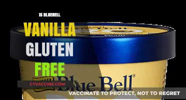 Delving into Dietary Details: Is Bluebell Vanilla Ice Cream Gluten-Free?