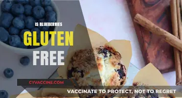 Are Blueberries Gluten-Free? A Complete Guide to Safe Snacking