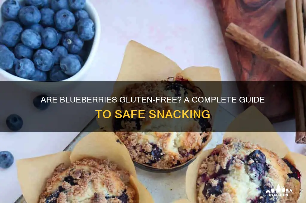 is blueberries gluten free