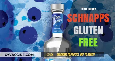 Exploring Blueberry Schnapps: A Gluten-Free Delight or Not?