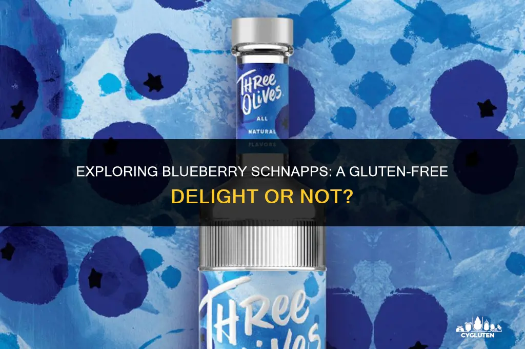 is blueberry schnapps gluten free