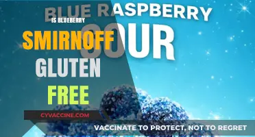 Exploring Blueberry Smirnoff: A Gluten-Free Beverage Option