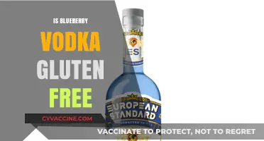 Sipping Safely: Exploring Blueberry Vodka's Gluten-Free Status