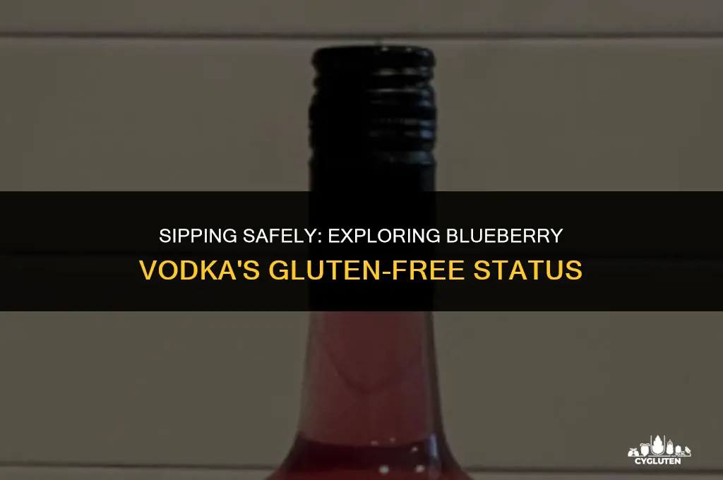 is blueberry vodka gluten free
