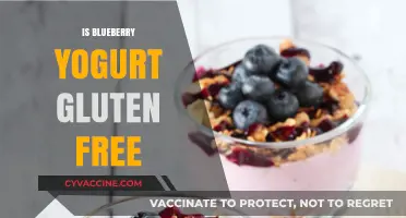 Deliciously Gluten-Free: Blueberry Yogurt for a Healthy Treat