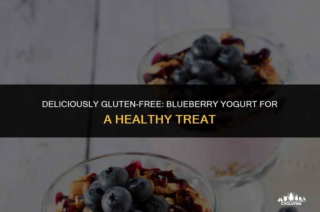 is blueberry yogurt gluten free