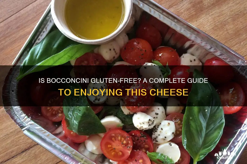 is bocconcini gluten free