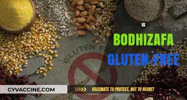 Is Bodhizafa Gluten-Free? A Comprehensive Guide to Its Ingredients