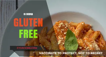 Is Bodka Gluten-Free? Uncovering the Truth for Celiac Drinkers