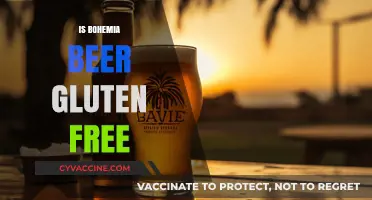 Exploring Gluten-Free Options: Is Bohemia Beer a Safe Choice?