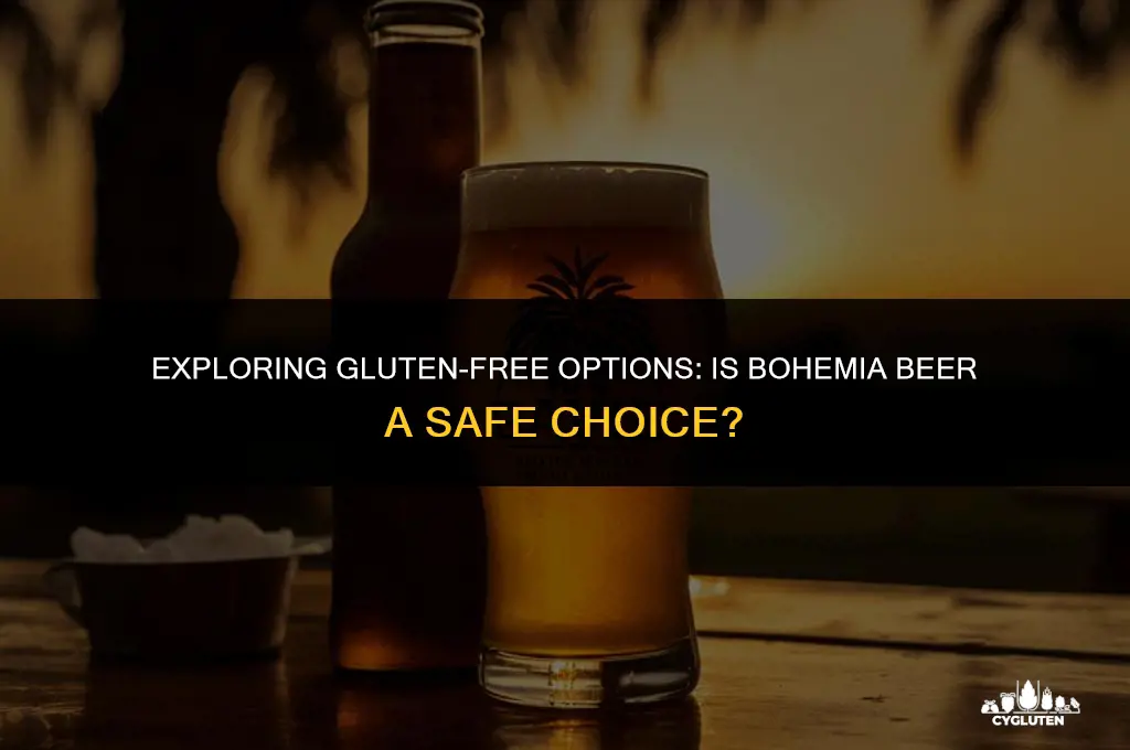 is bohemia beer gluten free