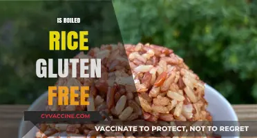 Exploring Gluten-Free Diets: Is Boiled Rice a Safe Choice?