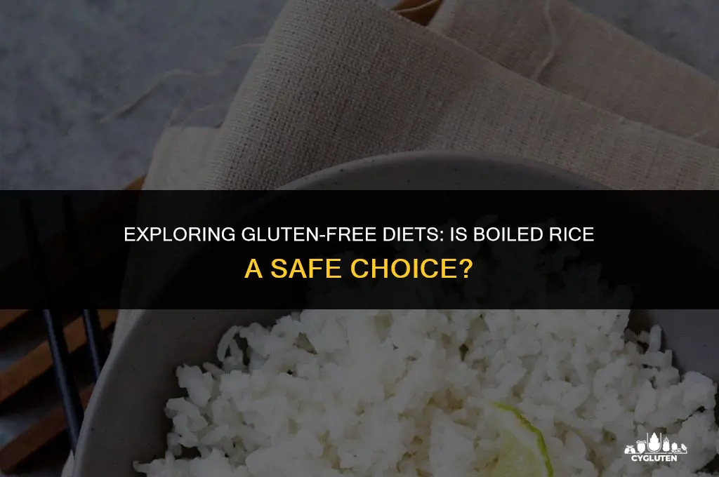 is boiled rice gluten free
