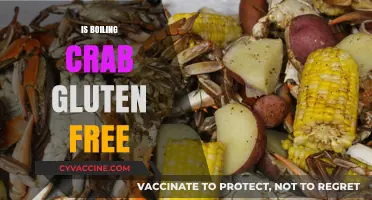 Delving into Seafood Delights: Is Boiling Crab Gluten-Free?