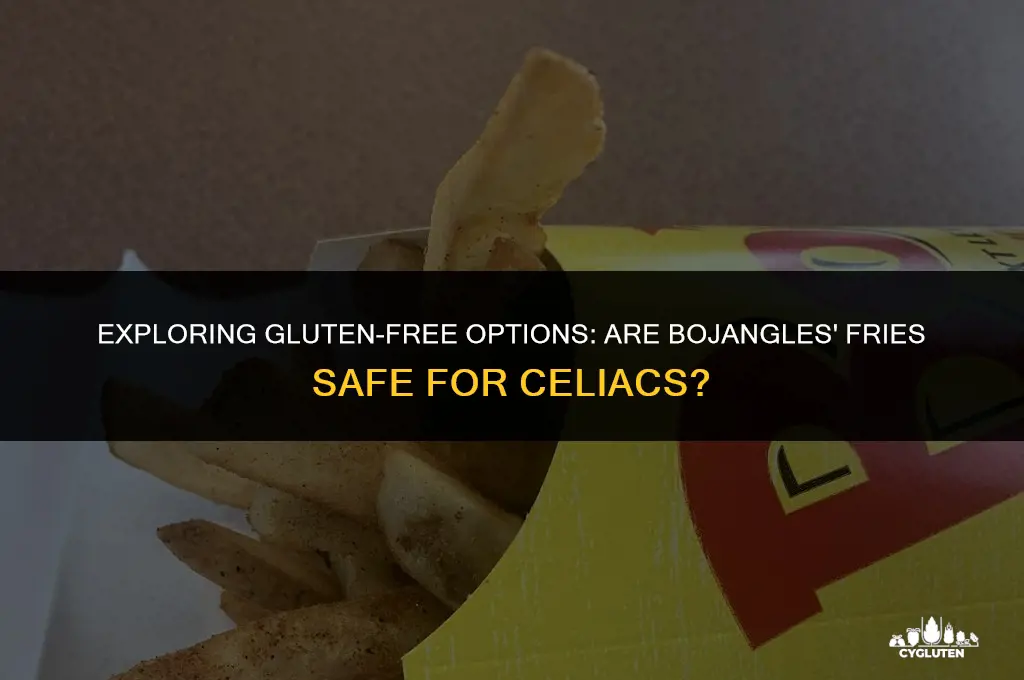 is bojangles fries gluten free